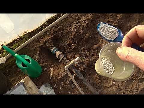 Видео: Підготовка грунту в теплиці .
