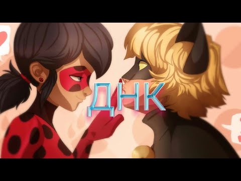 Видео: Клип леди баг и кот нуар / ДНК
