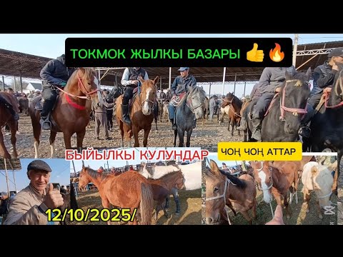 Видео: ЖЫЛКЫ БАЗАР ТОКМОК МАЛ БАЗАР 12-ОКТЯБРЬ 2025ж ТАЙЛАР/Бээлер/Аттар/