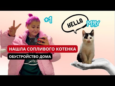 Видео: ПОДОБРАЛА 9 КОТЁНКА! Мини-влог об этом вечере.