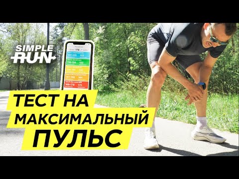 Видео: Как определить 🤔 пульсовые зоны 🚦 и зачем знать максимальный 🔝 пульс ❤️