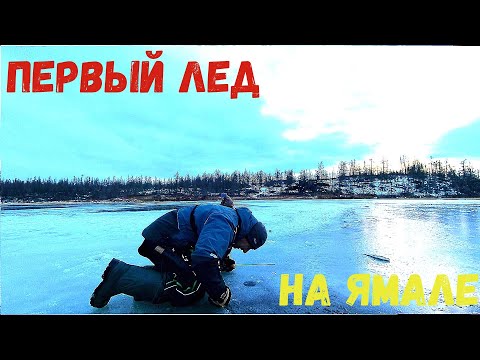Видео: ОНИ НЕ ДАЮТ ОПУСТИТЬ ПРИМАНКУ ВОТ ЭТО...  ПЕРВЫЙ ЛЕД 2023 2024  Рыбалка в приглядку.
