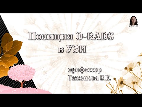 Видео: Позиция O-RАDS в УЗИ. Проф. Гажонова В.Е