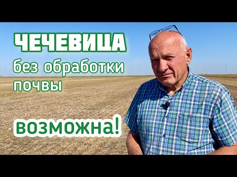 Видео: 3 причины выращивать чечевицу