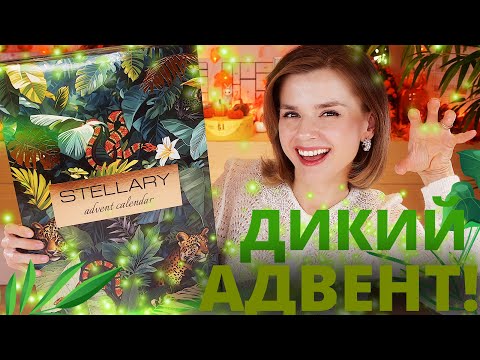 Видео: ДИКИЙ АДВЕНТ КАЛЕНДАРЬ STELLARY 2025 - ЛУЧШЕ ПРЕЖНЕГО! Как это дарить?