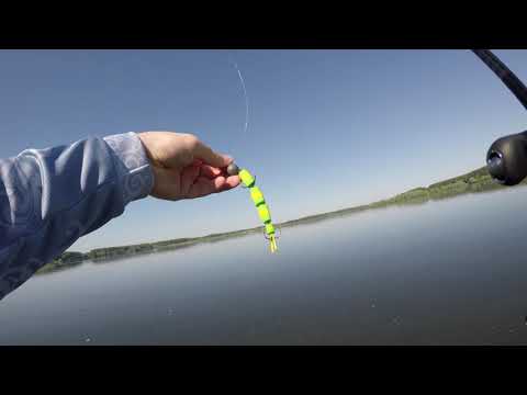 Видео: Shimano Zodias 1610mh-2 2020!  сравнение с Shimano Adrena 1610m