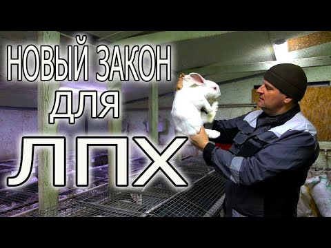 Видео: БЕЗ ЭТОГО ВАС НЕ ПУСТЯТ НА РЫНОК И В МАГАЗИН