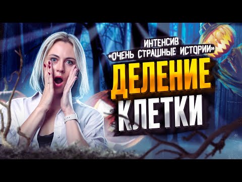 Видео: Деление клетки | Ксения Напольская