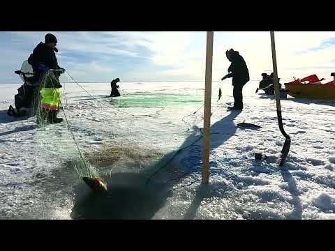 Видео: Рыбалка продолжается, устанавливаем и проверяем сеть, чясть 6