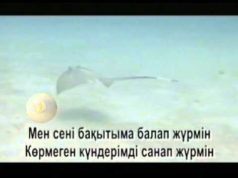 Видео: КАЗАКША КАРАОКЕ $ 7 Егіз жүрек