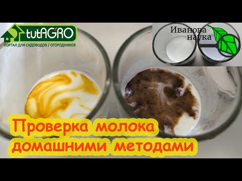 Видео: ВЫ УДИВИТЕСЬ, ЧТО ПОДМЕШИВАЮТ В МОЛОКО ПРОИЗВОДИТЕЛИ! Даже хром! Проверка молока в домашних условиях