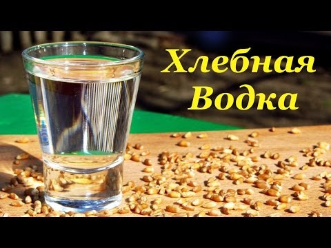 Видео: Хлебная водка, рецепт браги на диких дрожжах пшеницы