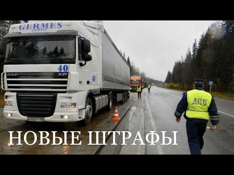 Видео: 50.000 за РТО: Кормушка Оборотня vs Дальнобойщик?