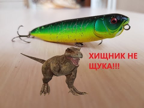 Видео: Загляни в мою коробку! Megabass DOG-X Speed Slide