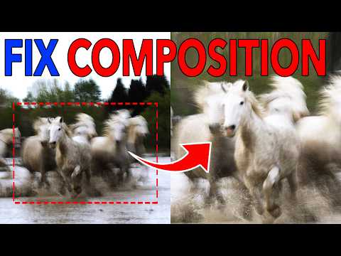 Видео: Не обрезайте фотографии дикой природы, пока не посмотрите это!