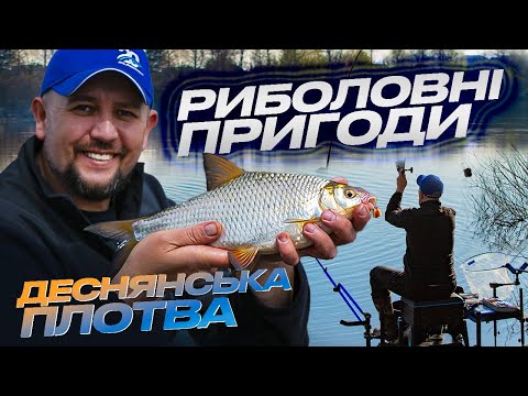 Видео: ❗️ ВСІ ШВИДКО НА ДЕСНУ!  Клює тільки БАТОНИСТА ПЛОТВА!  Ловля риби на фідер! #риболовля #фідер