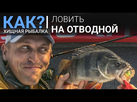 Видео: Как ловить на отводной? Выбор удилища, оснастки и приманок. Лучшие проводки для отводного поводка.