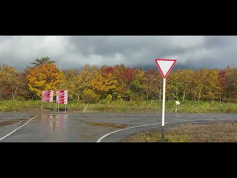 Видео: Итуруп