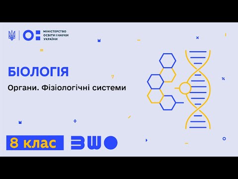 Видео: 8 клас. Біологія. Органи. Фізіологічні системи