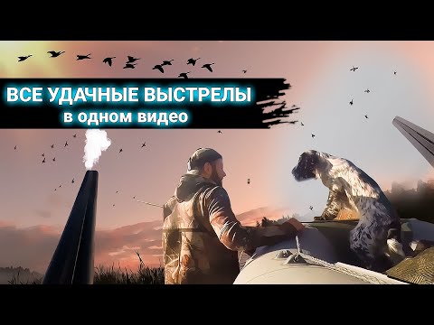 Видео: Все удачные выстрелы в одном видео. Охота на утку и гуся с собакой 2021