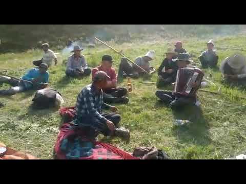 Видео: Кок арт