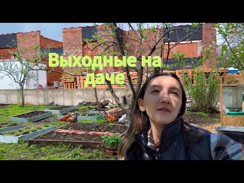Видео: ПОВТОРНЫЕ ЗАМОРОЗКИ - что делать? ПОСАДКА ЯБЛОНЬ, СМОРОДИНЫ, ОБРЕЗКА ГОЛУБИКИ ЗАБРОШЕННАЯ ДАЧА #3