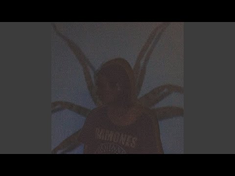 Видео: Паук