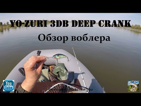 Видео: Обзор воблера Yo Zuri 3DB Deep Crank