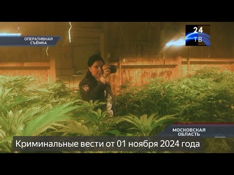 Видео: Петровка 38 выпуск от 01 ноября 2024 года