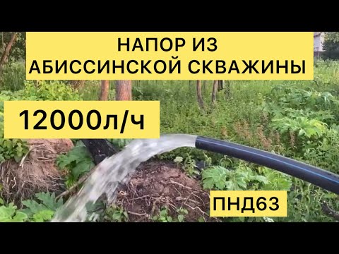 Видео: СКВАЖИНА ДЛЯ ПРУДА!!! АБИССИНСКАЯ СКВАЖИНА))