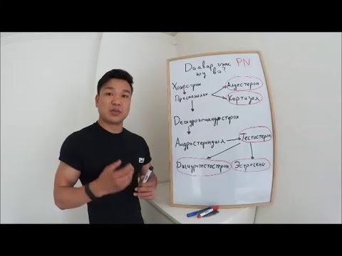 Видео: Тестостерон видео цуврал #00, Даавар гэж юу вэ? Стероид гэж юу вэ?