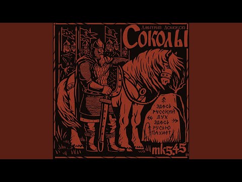 Видео: СОКОЛЫ (Дмитрий Донской)