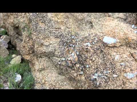 Видео: Конда Витим 2012