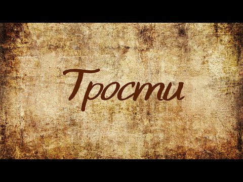 Видео: Тактильные трости и наконечники