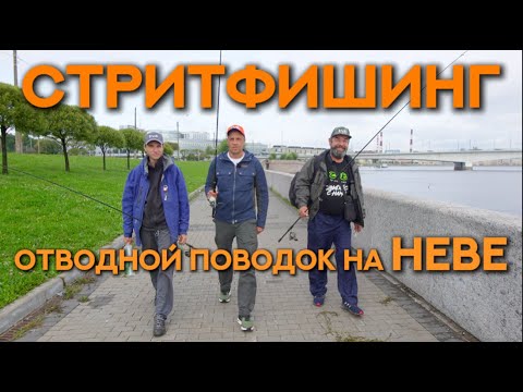 Видео: ОТВОДНОЙ ПОВОДОК НА НЕВЕ. Рыбалка в центре города.