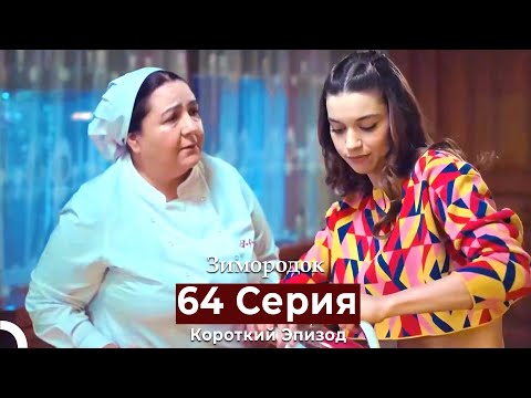 Видео: Зимородок 64 Cерия (Короткий Эпизод) (Русский дубляж)