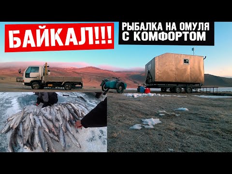 Видео: Устал таскать! Сразу по 10 ! Рыбалка, омуль с глубин Байкала!