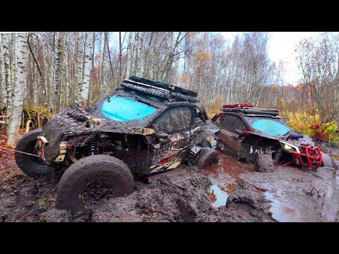 Видео: БЕЗУМЦЫ ТОПЯТ В ГРЯЗИ ТЕХНИКУ ЗА МИЛЛИОНЫ... ЗКС 2025