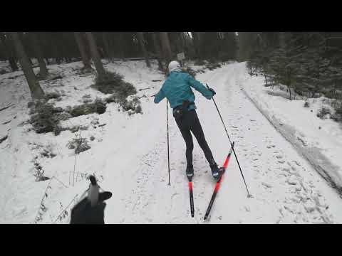 Видео: 22.01.2025. Трасса марафона TOKSOVOCUP (Токсовский лыжный марафон) за 10 дней до гонки.