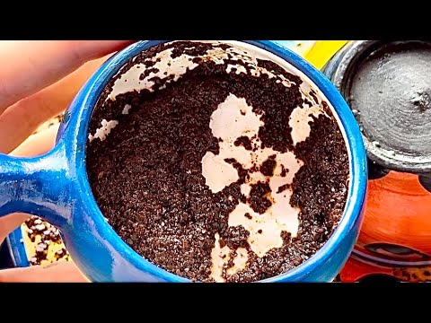 Видео: УЖЕ НА ЭТОЙ НЕДЕЛЕ❗️ЧТО ЗА СОБЫТИЯ❓💥СМОТРИМ НА КОФЕ ☕️