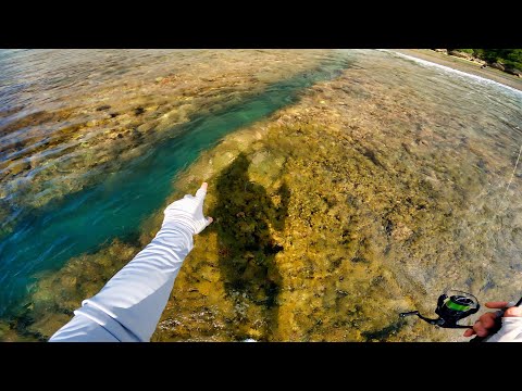 Видео: Рыбалка на Пхукете НАДОЕЛА! В ЭТОЙ ДЫРЕ КУЧА ЯДОВИТОЙ РЫБЫ