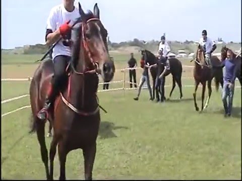 Видео: Скачки Буйнакск 15.05.2016г