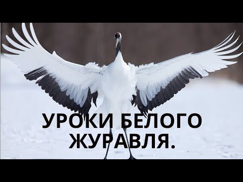 Видео: Урок 2 Работа  рук в Саньжан Юнчунь Байхэ . Lektion 2 Handarbeiten In Sanjan Yunchun Baihe  .