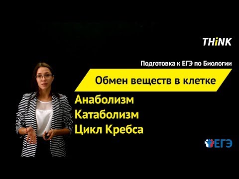 Видео: Обмен веществ в клетке | Подготовка к ЕГЭ по Биологии