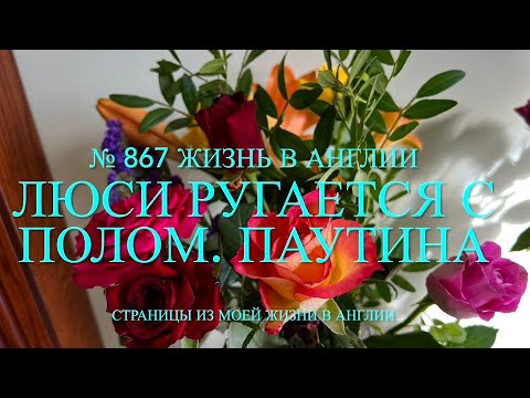 Видео: Люси ругается с Полом. Везде паутина. № 867 Жизнь в Англии