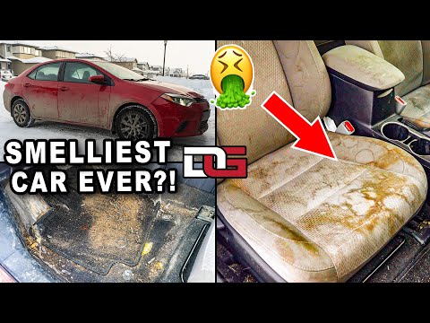 Видео: Очистка самой вонючей машины на свете! | Удаление незаконных веществ | The Detail Geek