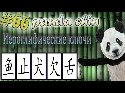 Видео: Урок 66. Ключи китайских иероглифов: 鱼 (рыба), 止 (останав-ся), 犬 (собака), 欠 (не хватать) и 舌 (язык)