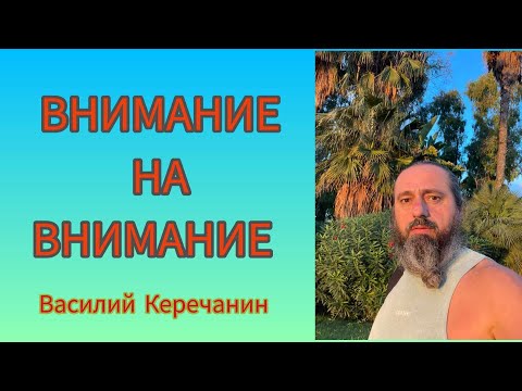 Видео: Убери💥Сашу, И Смотри На То, Что Смотрит. Иди На То Внимание, Что Смотрит - Василий Керечанин