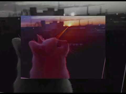 Видео: Плейлист популярных песен из тик тока (2025)