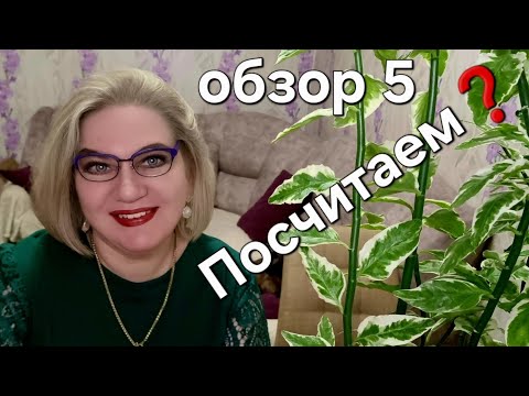 Видео: Посчитаем ❓️💰
